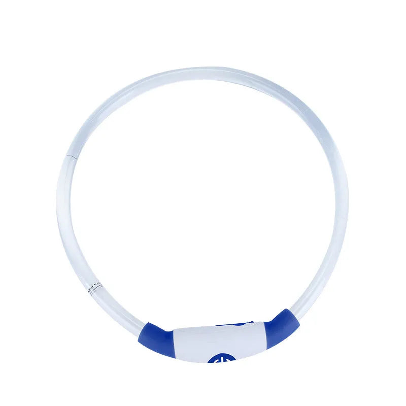 Blue USB rechargeable LED dog collar glowing on a dog's neck at night