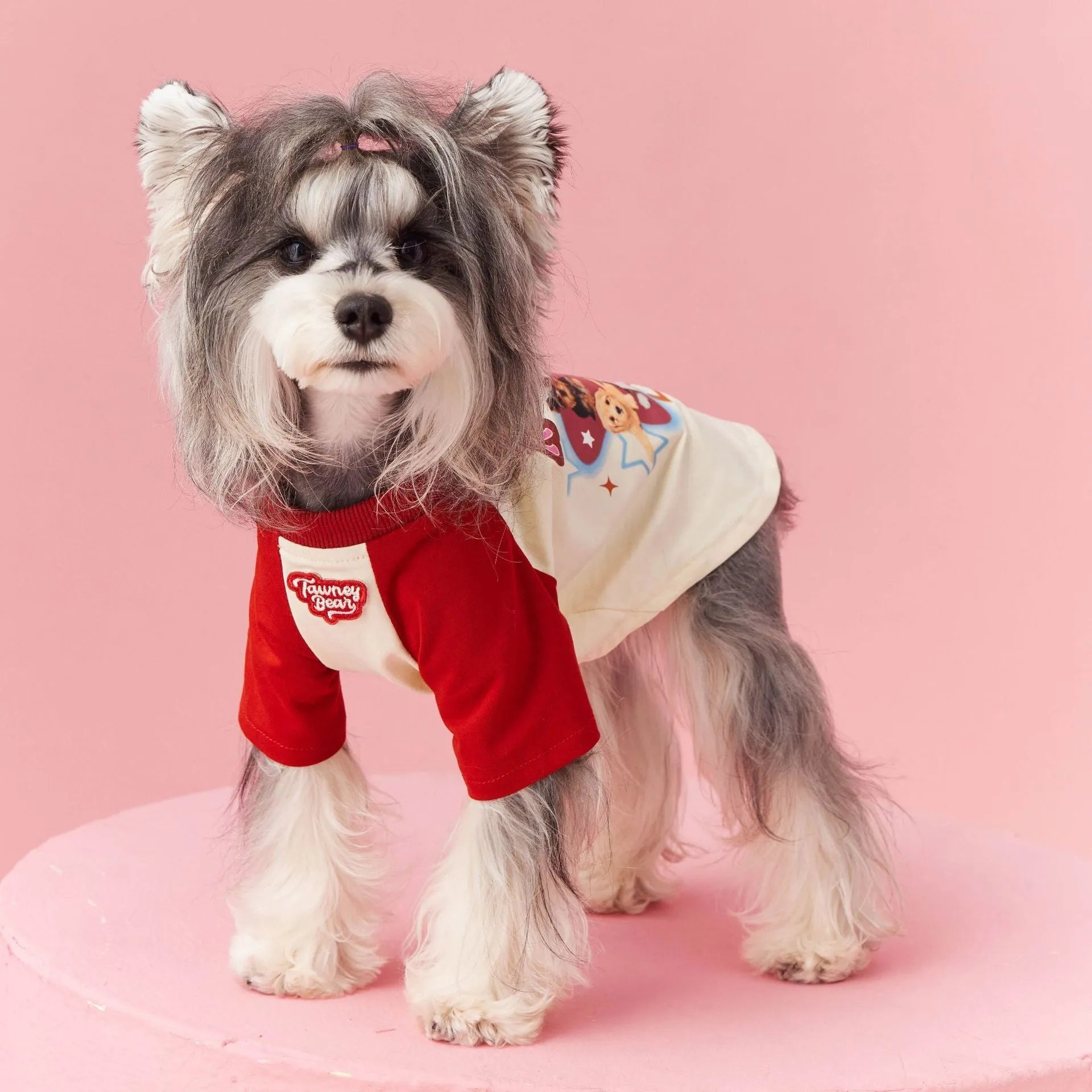 Cotton dog summer t-shirt with embroidered design in red or pink, sizes XS to XXL