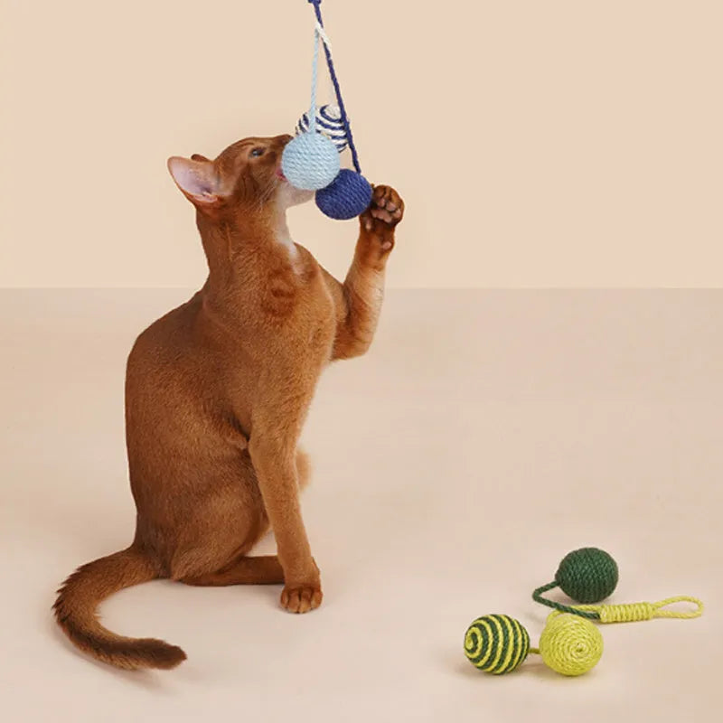 Cat toy set with teaser stick and bite-resistant catnip ball in blue, green, and red yellow blue colours