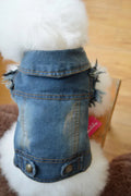 Denim pet dog vest with scratch pattern design in dark and light colours for small breed dogs