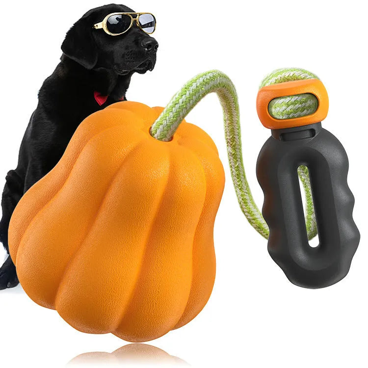 Pumpkin-shaped plastic molar dog toy with rope attached for outdoor chewing and fetch games