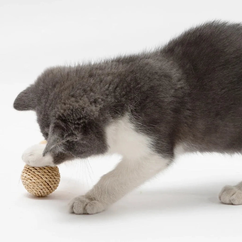 Cat toy set showing rattan ball with bell and faux feather ball for interactive pet play