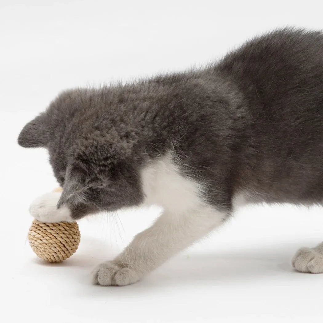 Cat toy set showing rattan ball with bell and faux feather ball for interactive pet play