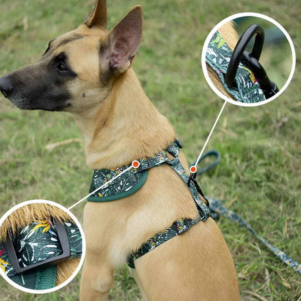 Adjustable vest pet harness set with haulage rope, collar, waste bag, bow tie and triangular bib