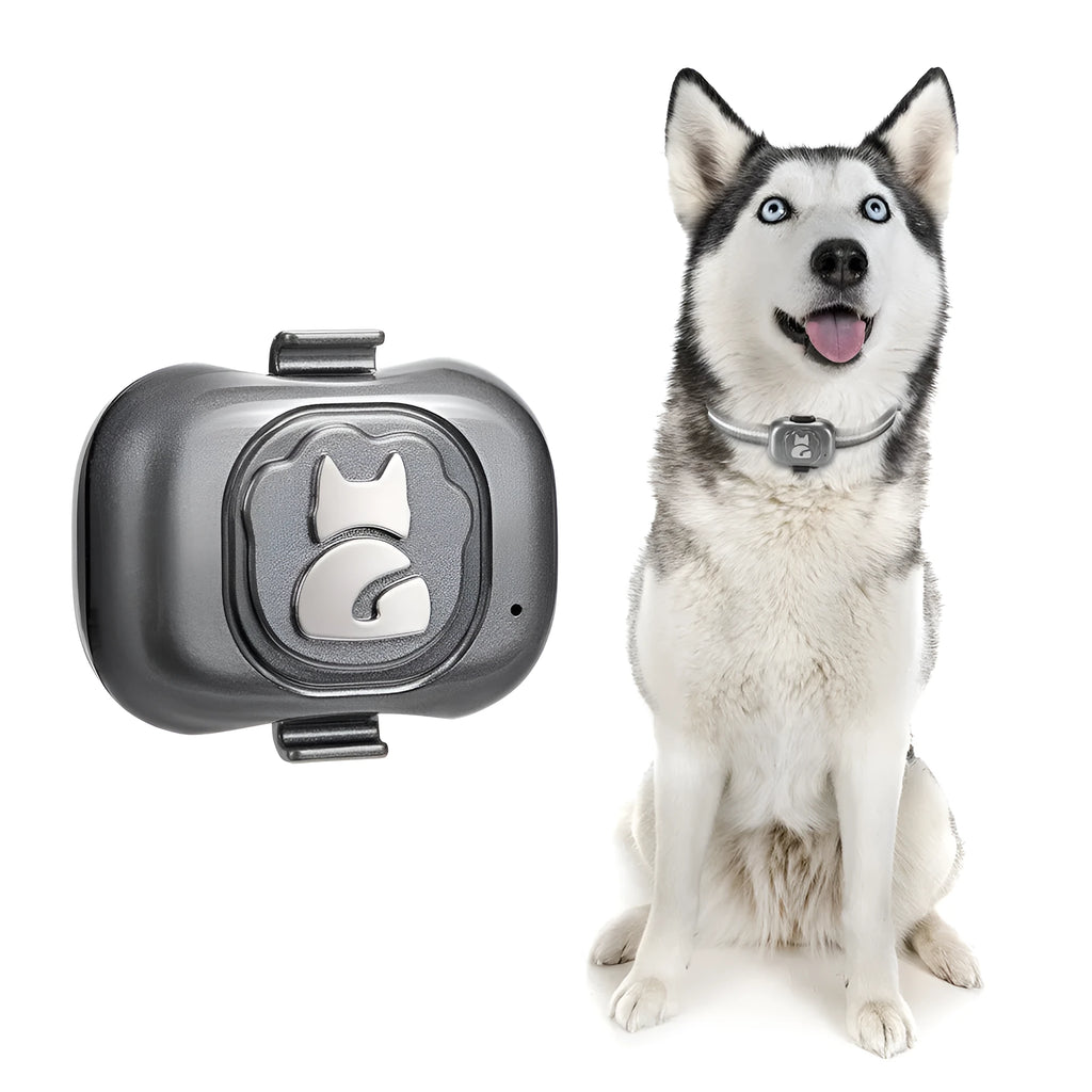 Black pet GPS locator device with hanging rope attachment for dog or cat collar mounting
