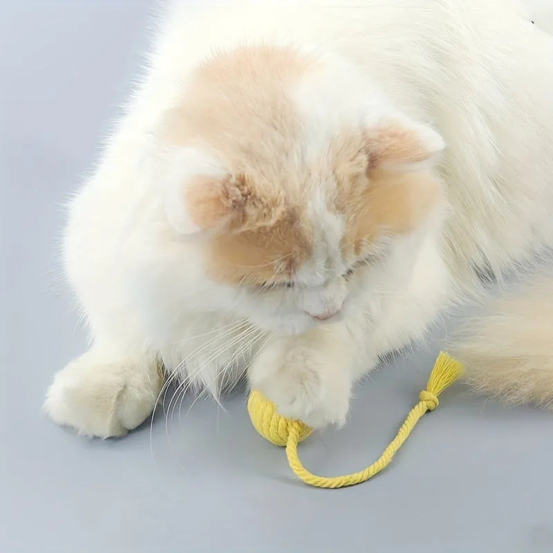 Coloured cat toy ball with rope attached and built-in bell inside, shown in green, pink, purple, and yellow options