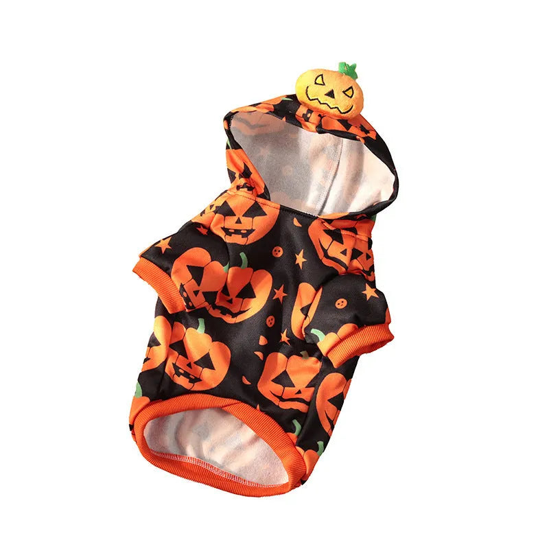 Orange polyester pumpkin sweater for dog or cat in a festive autumn pose