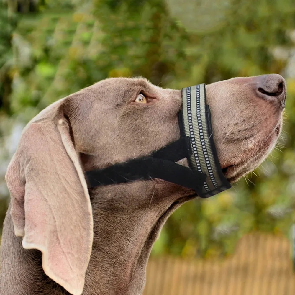 Adjustable anti-biting reflective dog muzzle for medium large dogs in black with straps