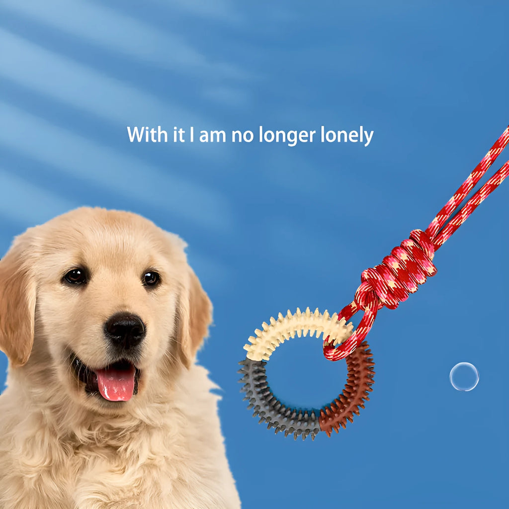Braided cotton rope knot dog toy in bright colours for biting and tug of war play