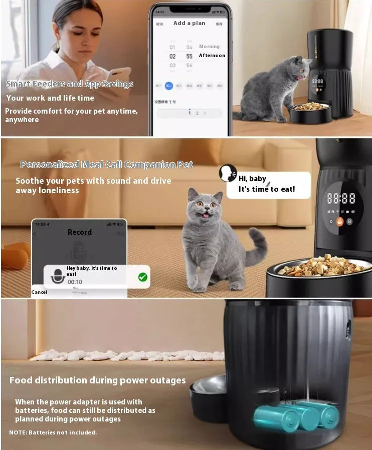 Black automatic pet feeder with food container and digital display