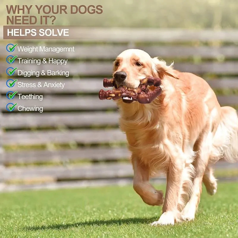 Scarlet-coloured nylon dog chew toy with beef flavour measuring 10.7x17.2x5 cm for molar nibbling