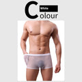 Men's mesh boxer briefs in breathable polyester fabric with low waist design