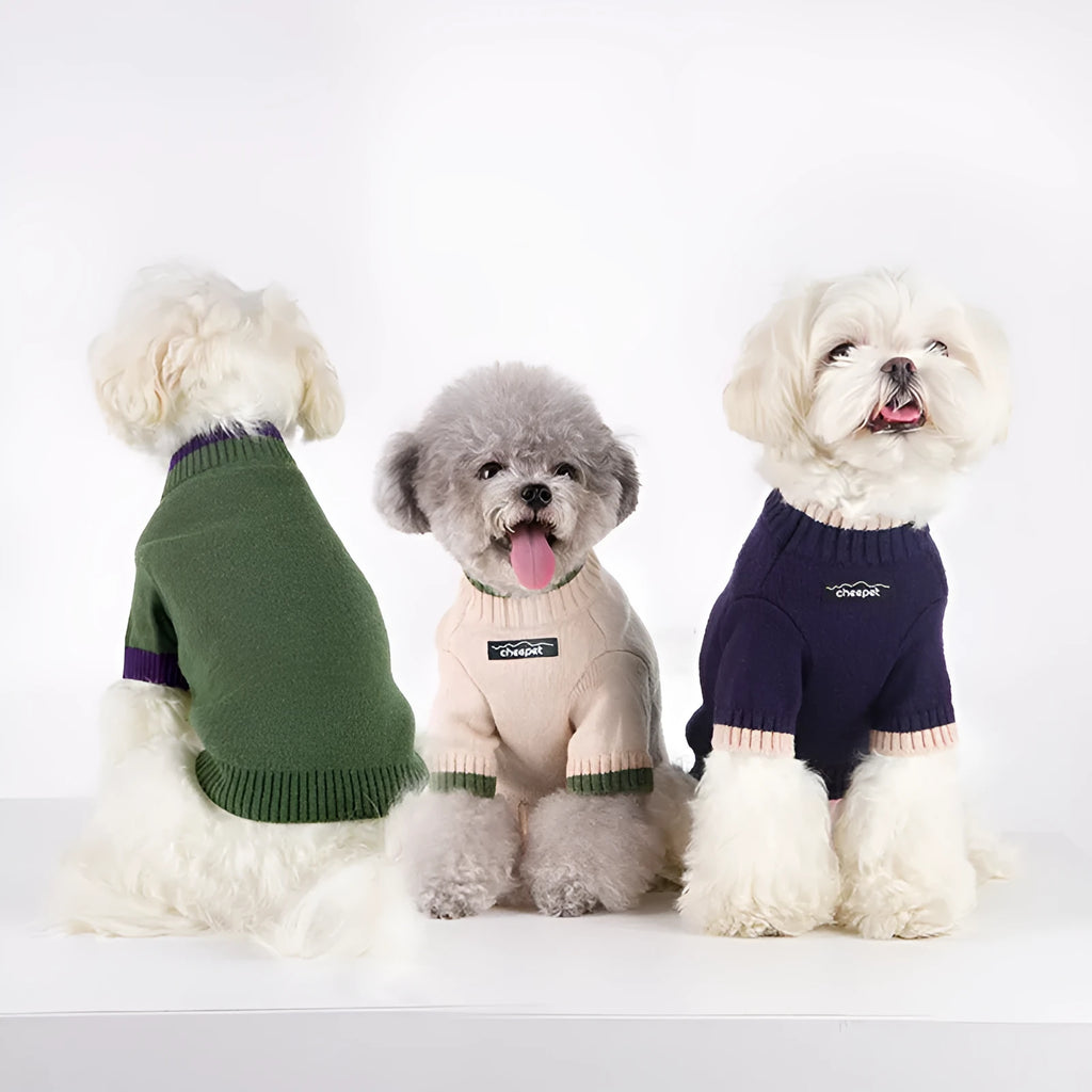 British style wool pet sweater with two-leg design in contrast colours for fall and winter wear