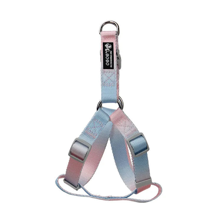 Nylon dog leash and gradient colour collar set in pink and blue, showing S and M size options.