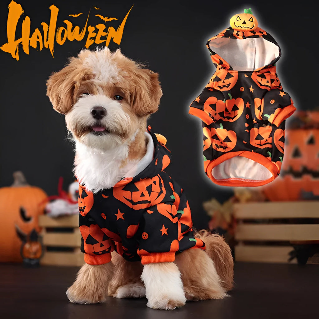 Orange polyester pumpkin sweater for dog or cat in a festive autumn pose