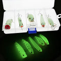 Five fluorescent 3D simulation submerged luminous hard bait fishing lures in box for predator fishing