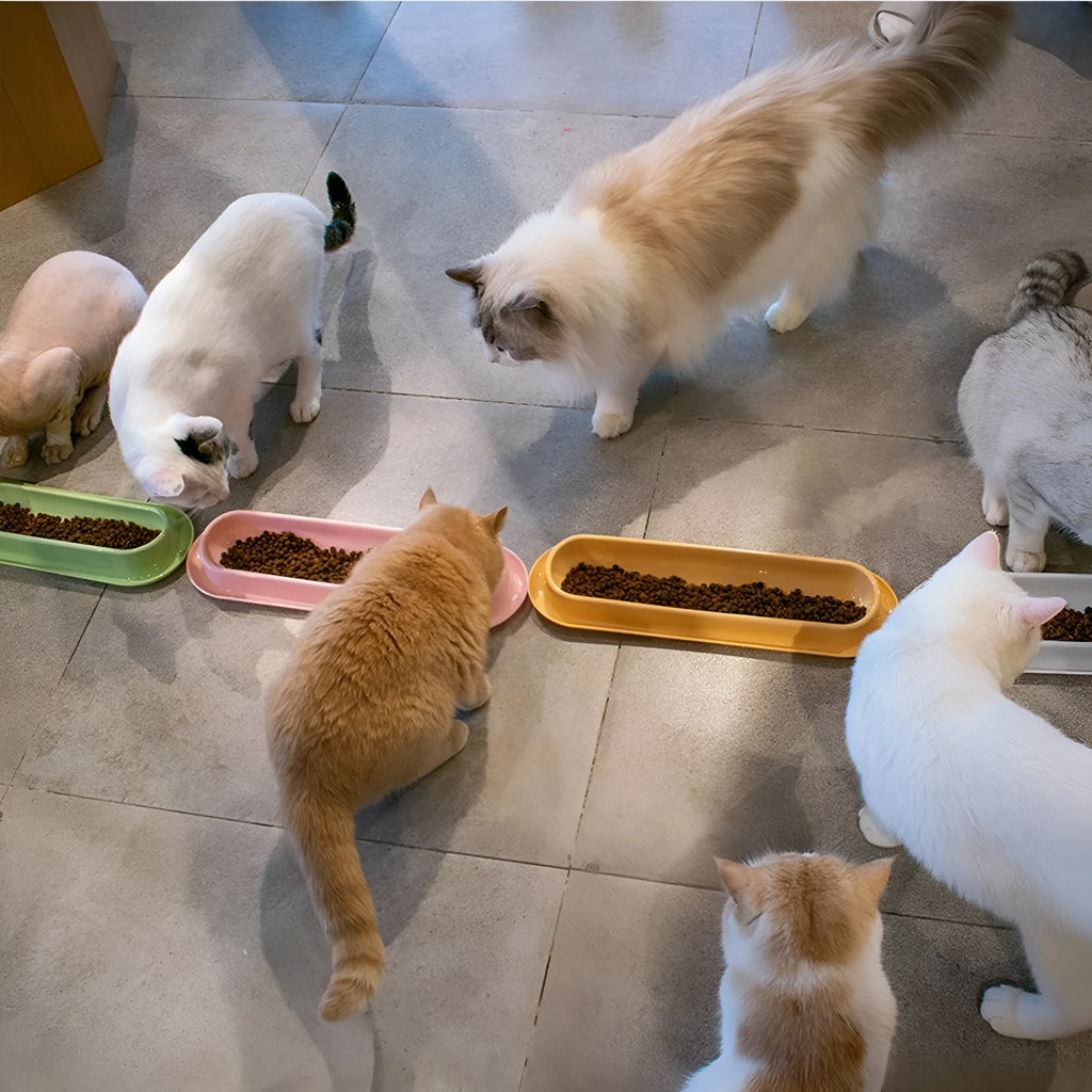 Green leakproof pet bowl with stainless steel insert and silicone base for dogs and cats.