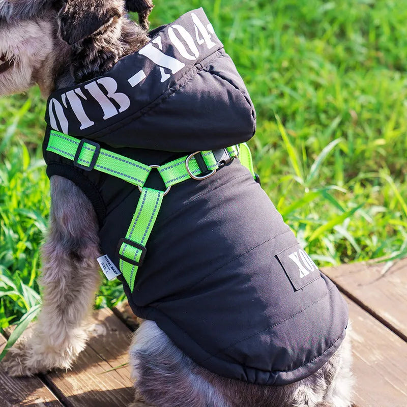 Red fleece-lined waterproof dog coat with hood on a small dog