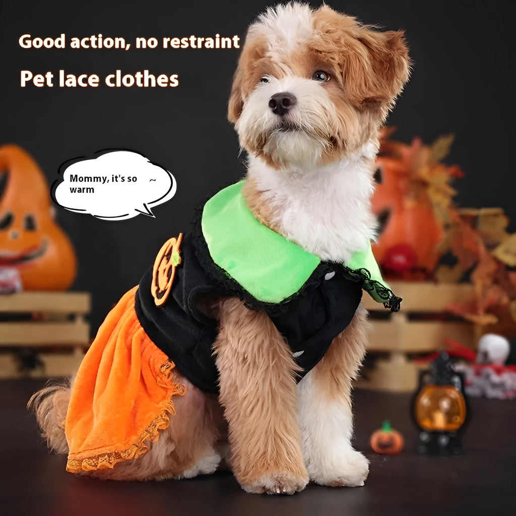 Halloween pumpkin skirt pet costume in crystal velvet material for dogs and cats
