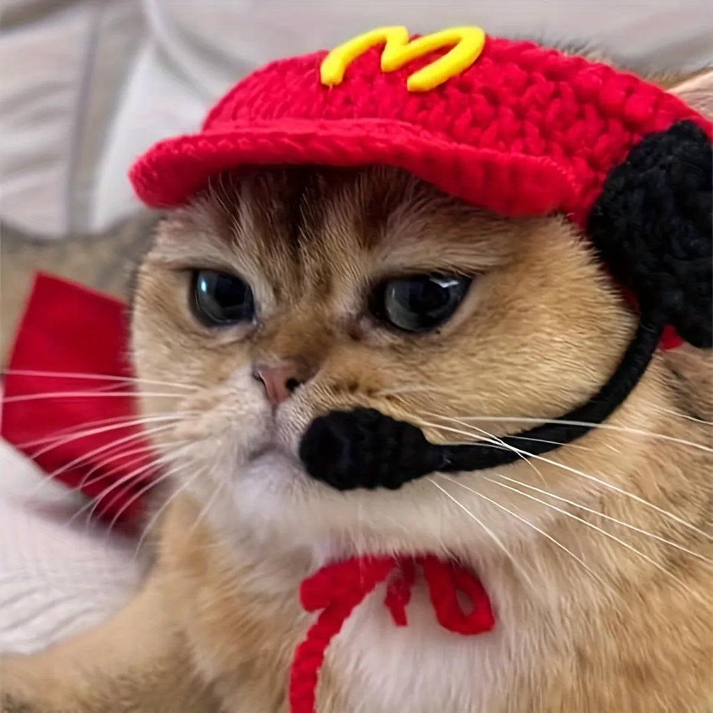 Handmade cotton knitted sweater and chef hat outfit for a small cat wearing a birthday costume.