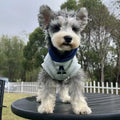 Blue slim-fit pet hoodie with reflective letters on a dog, showing the casual style and safety feature.