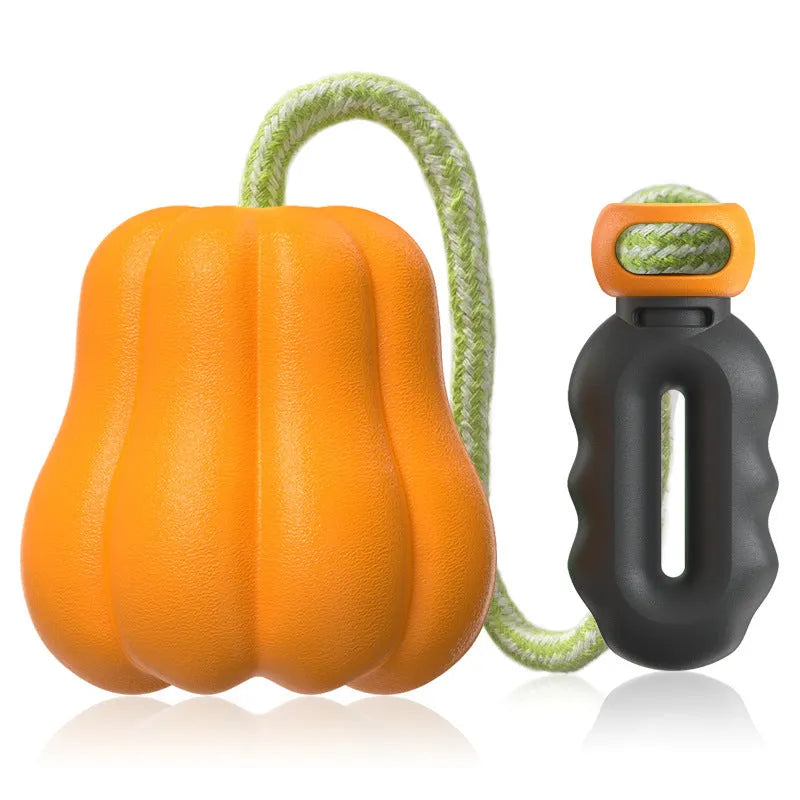 Pumpkin-shaped plastic molar dog toy with rope attached for outdoor chewing and fetch games