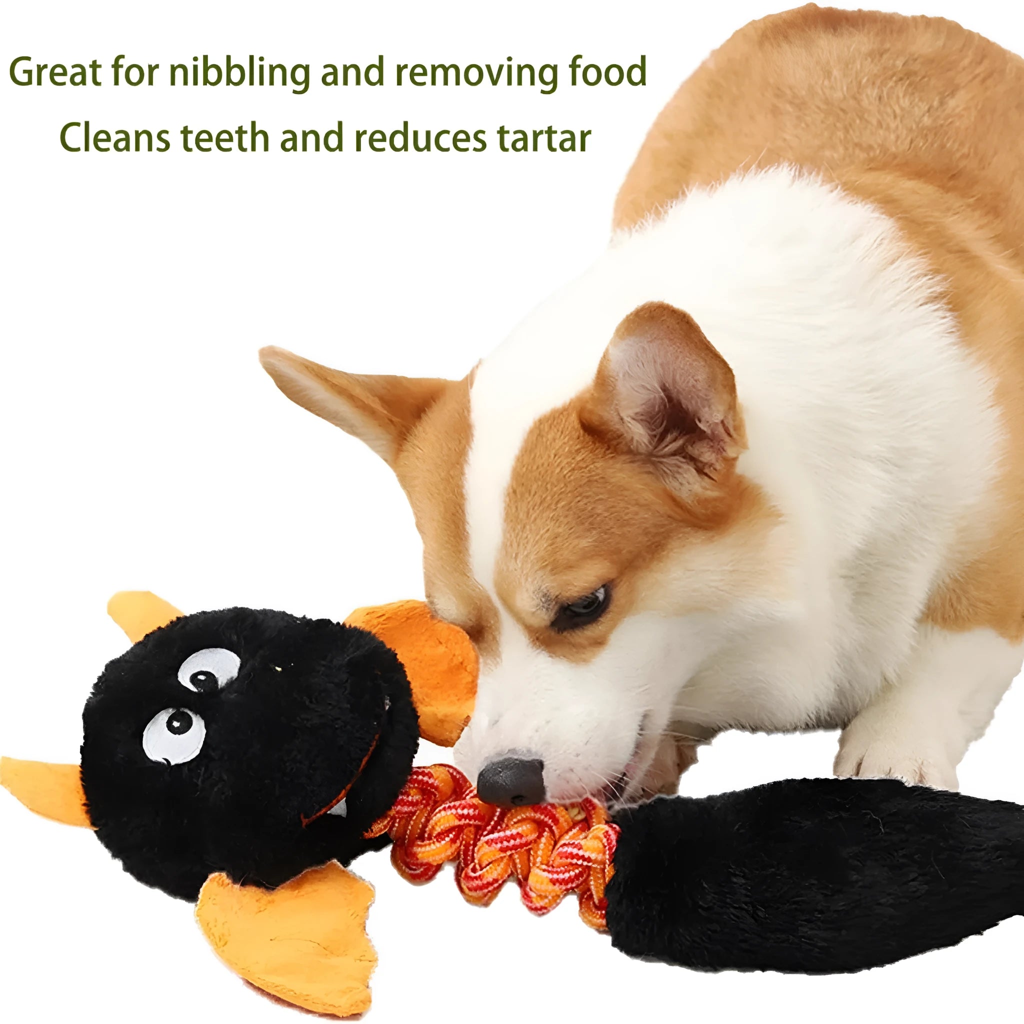 Large black plush dog toy with cartoon design, a rope knot, and a squeaker for chew play.
