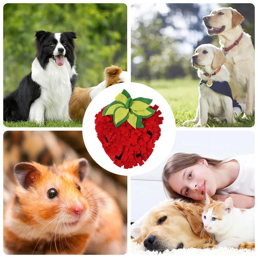 Red and green strawberry-shaped pet slow feeder mat with hiding spots for interactive feeding