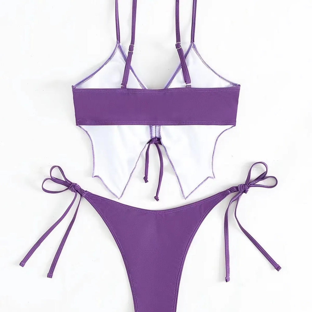 Women's purple bikini with bow ins style back detailing and briefs bottoms