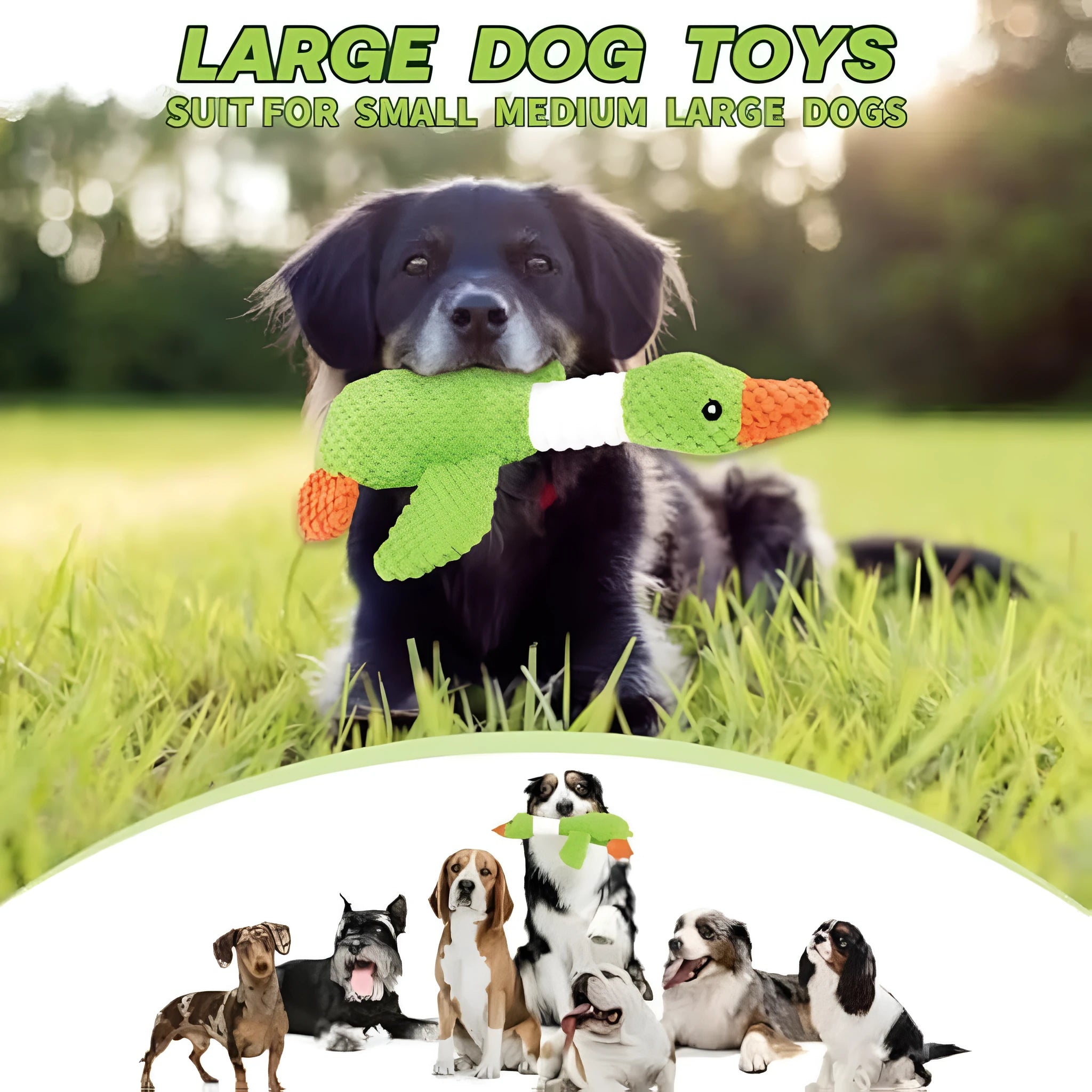 Green blue or grey durable plush duck dog chew toy with squeaker, 33 cm long.