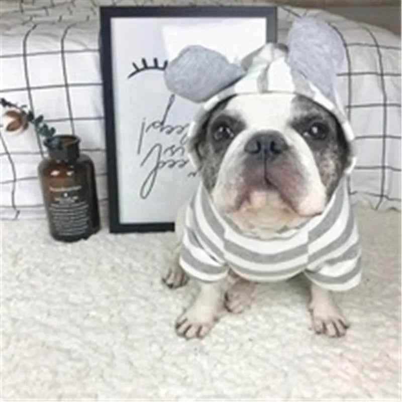 Grey striped cotton sweater for small dogs and cats, pullover design, available in multiple sizes