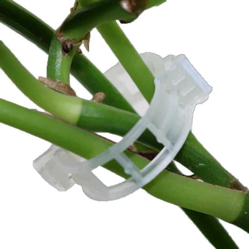 50 plastic garden grafting clips in random colours for plant retention and support