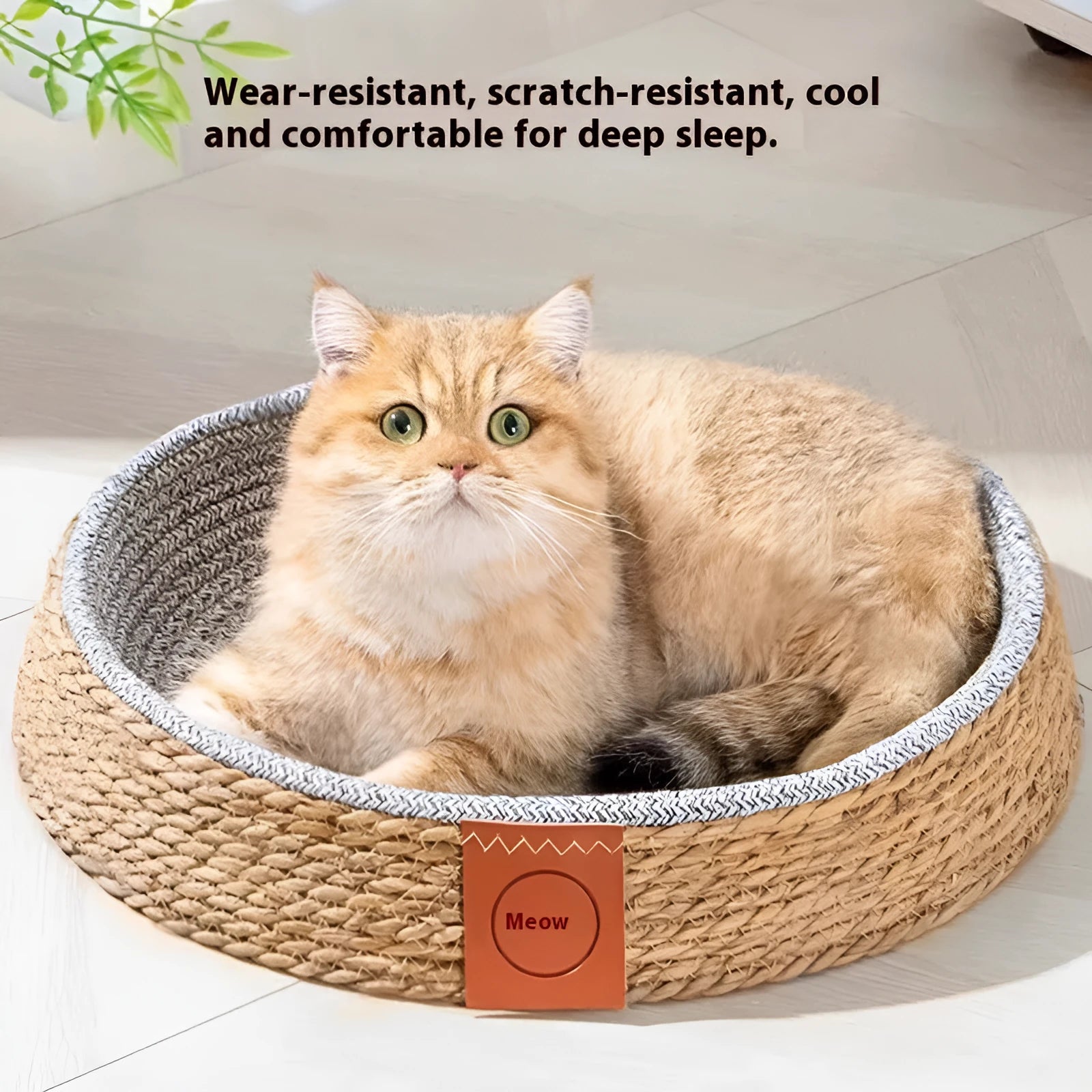 Natural rattan woven cat bed in nest design available in four different sizes