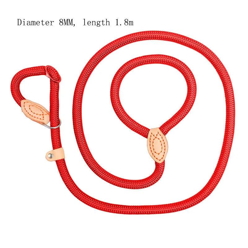Blast race training dog leash with automatic tightening nylon collar in multiple colour options.