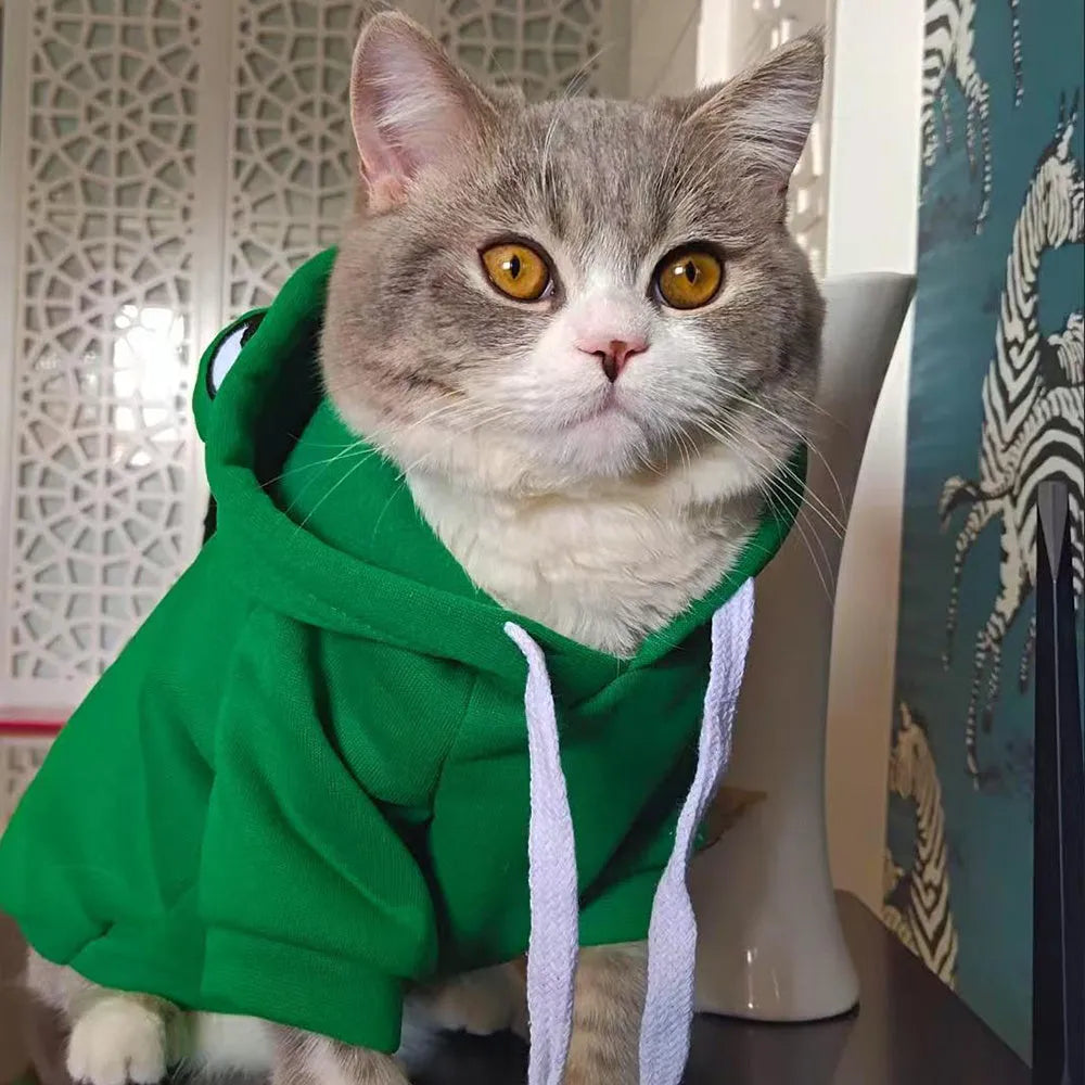 Green frog costume hoodie on a small dog, showing soft fabric and hoodie design for Halloween or autumn.
