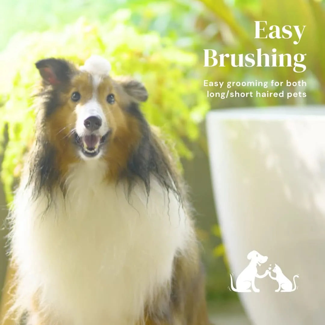 Blue self-cleaning pet grooming brush with stainless steel pins and ergonomic rubber handle