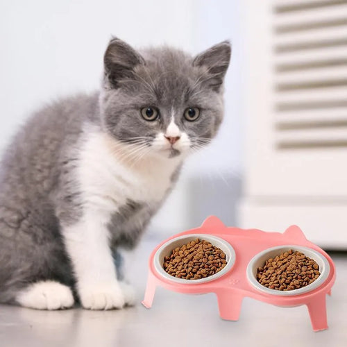 Ceramic cat food and water bowl set with tilted elevated stand in blue colour option