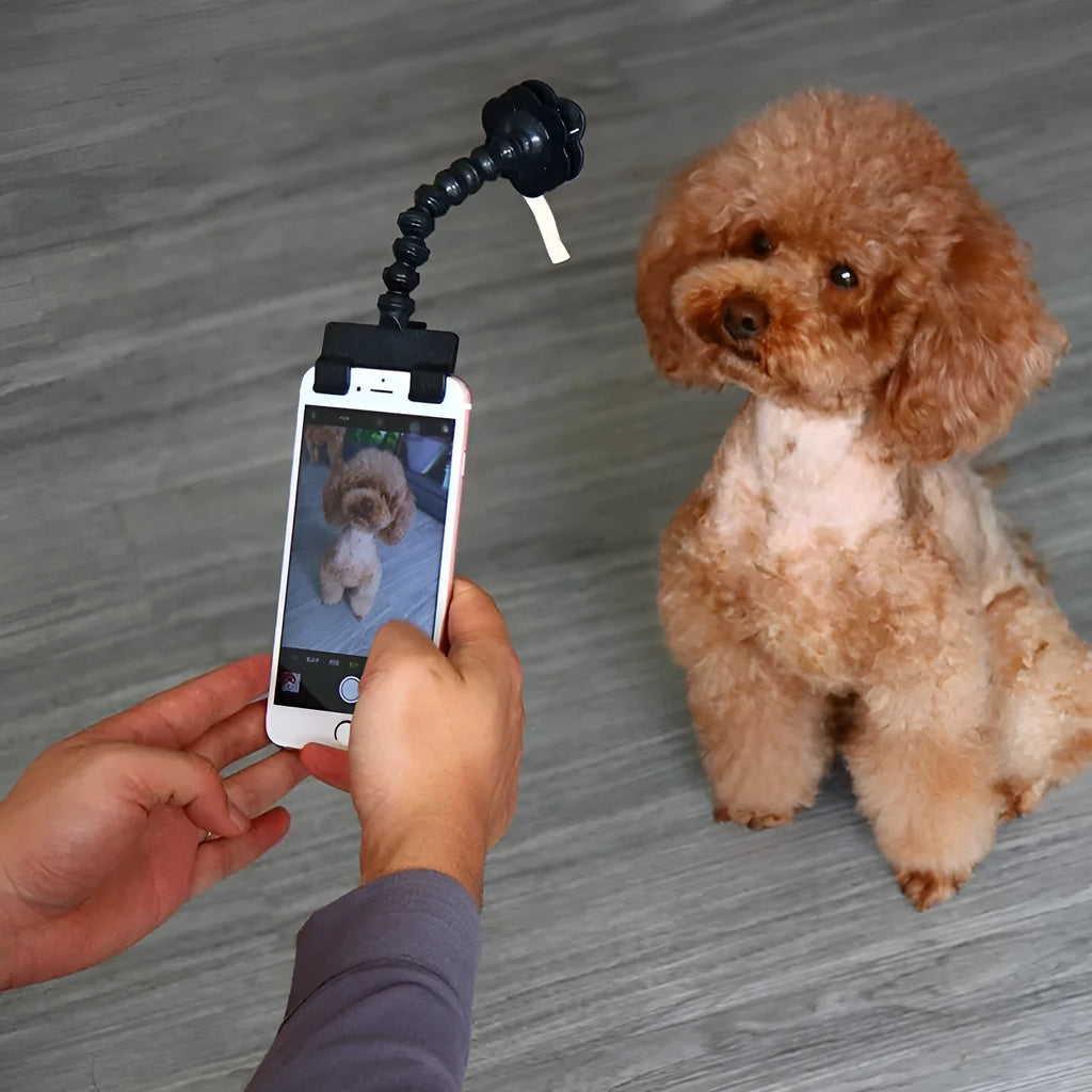 Black retractable pet selfie stick with square photo clip and flower-shaped pet accessory clip on a blister card.