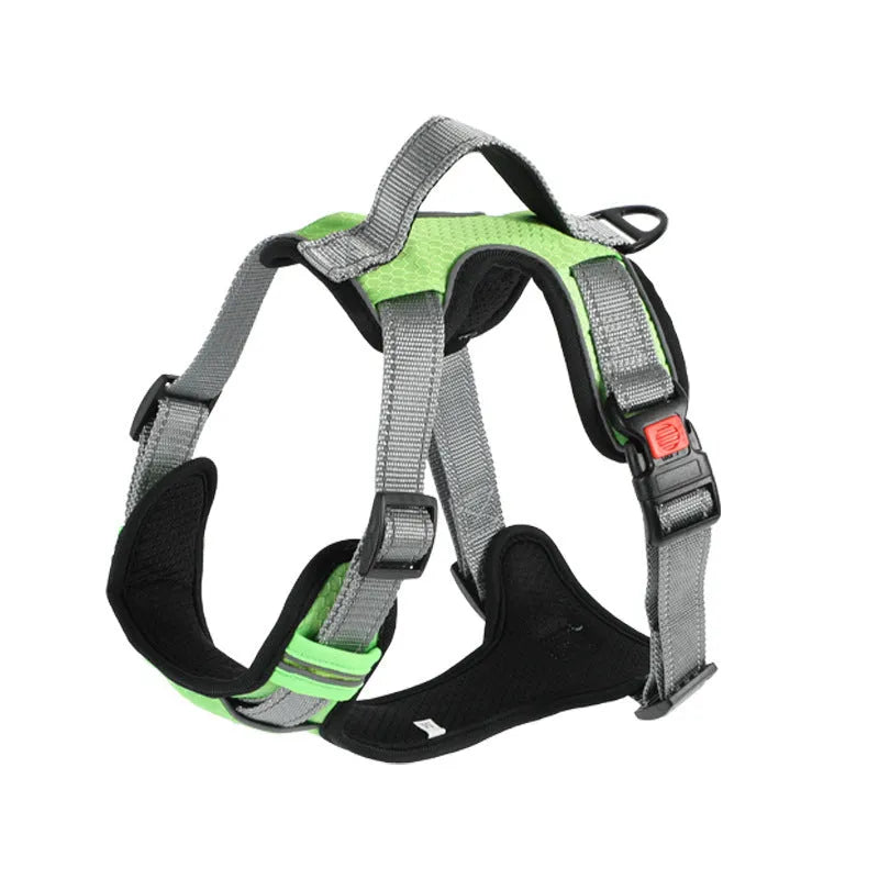 Orange polyester dog chest strap harness with an adjustable hand holding rope attached.