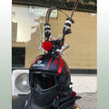 Motorcycle helmet decoration kit showing a crown ornament and a long feather for customisation.