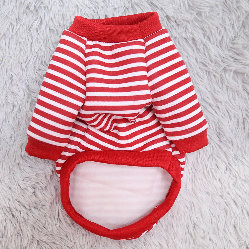 Small dog wearing a blue striped teddy bear print polyester pet sweater spring top showing chest and back fit