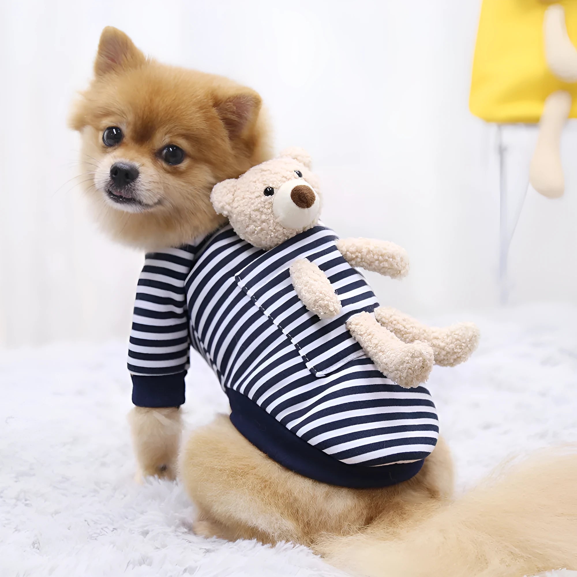Small dog wearing a blue striped teddy bear print polyester pet sweater spring top showing chest and back fit