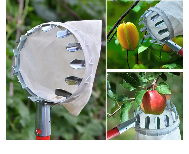 Steel frame fruit picker basket with cloth bag catcher for garden harvesting