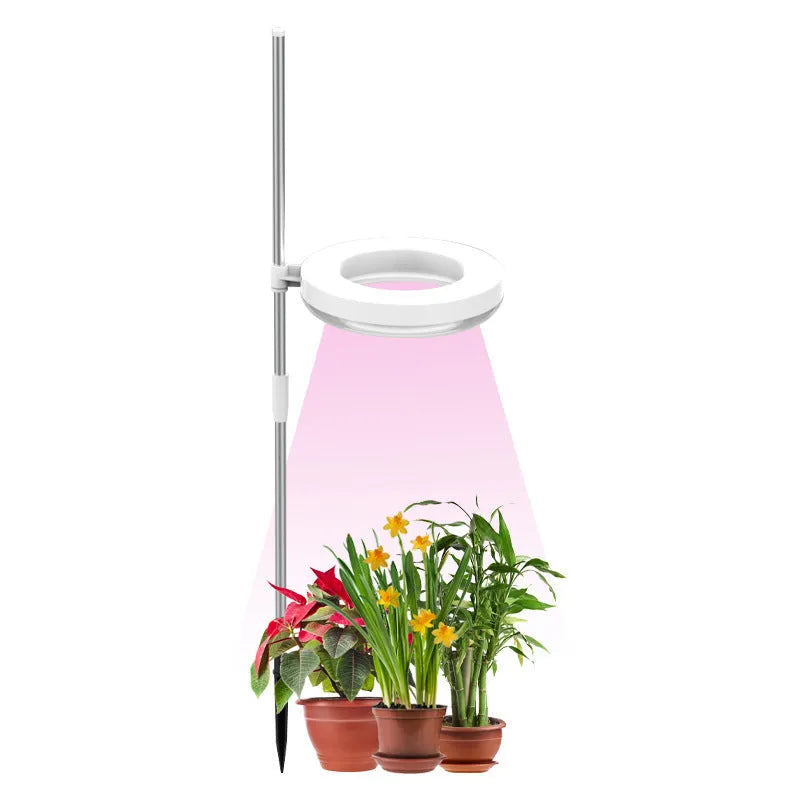 Compact desk plant growth lamp with full spectrum light for indoor potted plants.