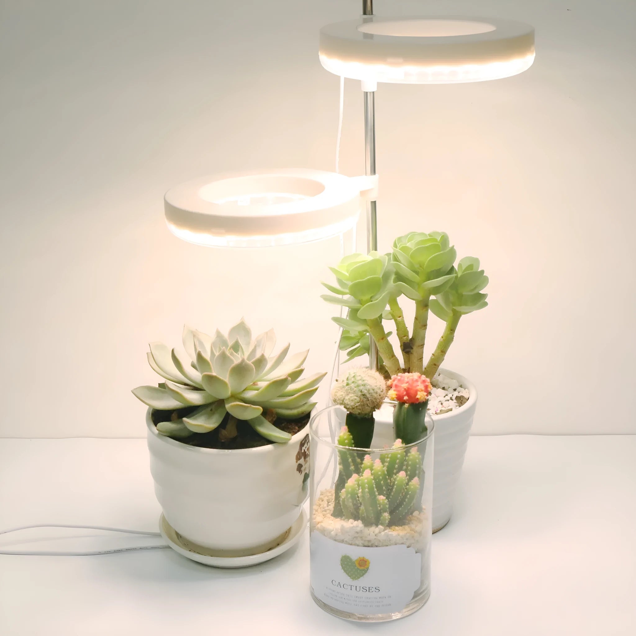 Compact desk plant growth lamp with full spectrum light for indoor potted plants.
