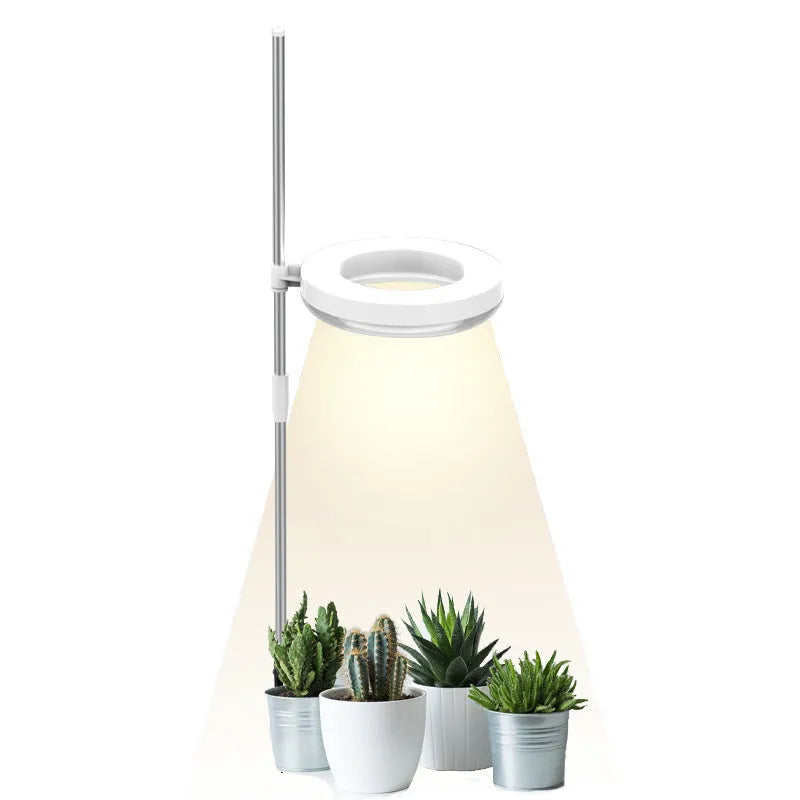 Compact desk plant growth lamp with full spectrum light for indoor potted plants.
