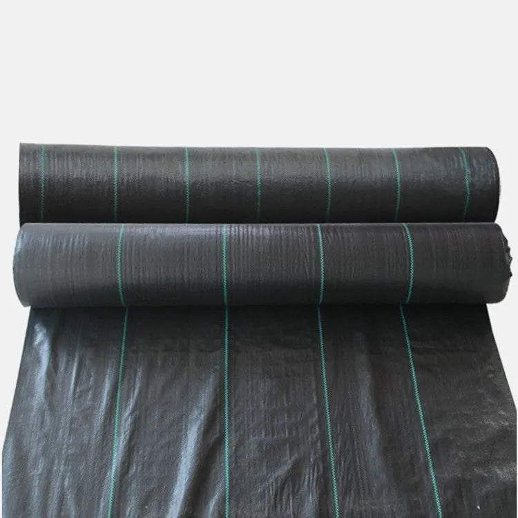 Black polyethylene weed-proof cloth laid on soil for farmland and garden weed suppression.