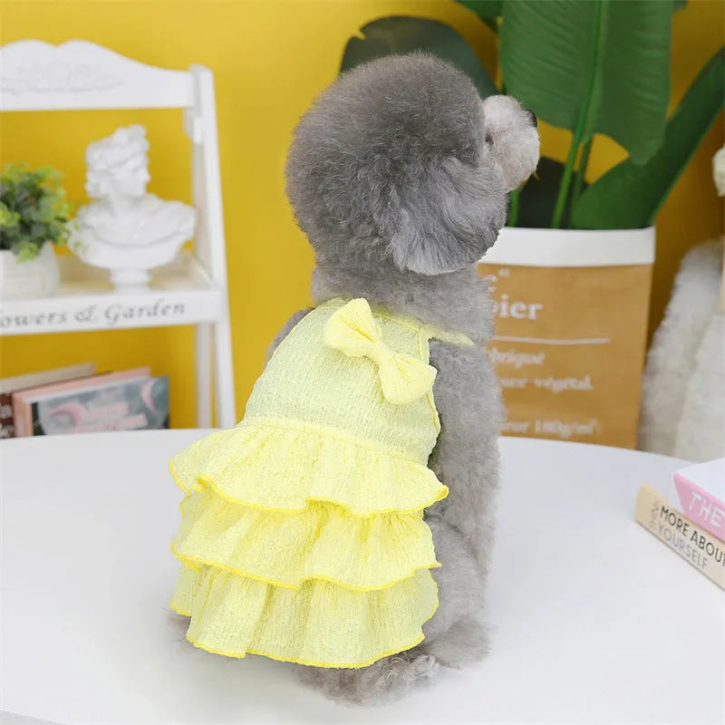 Small dog wearing princess dress with candy layered skirt in rose red colour, designed for thin teddy bichon breeds