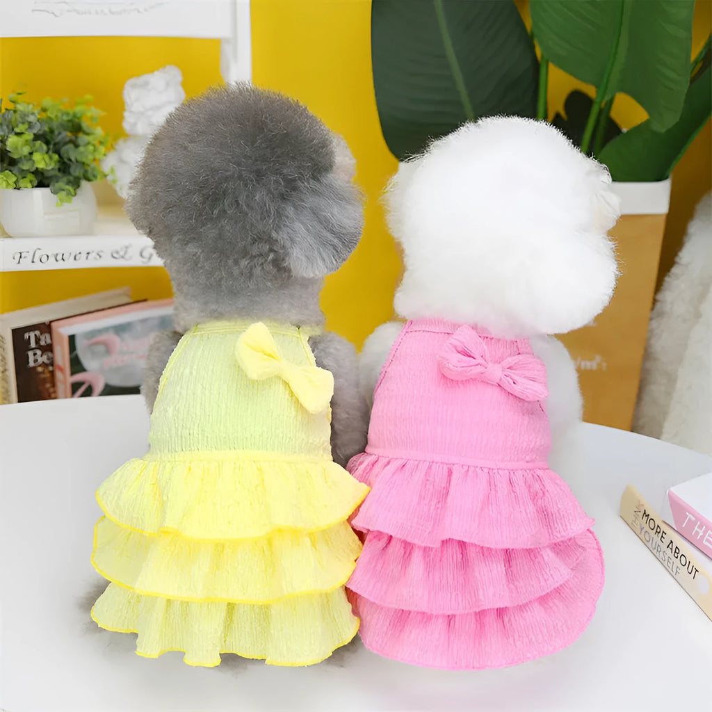 Small dog wearing princess dress with candy layered skirt in rose red colour, designed for thin teddy bichon breeds