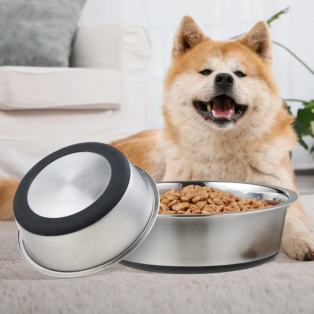 Silicone pet bowl with stainless steel interior in black, shown on floor with anti-slip ring around base